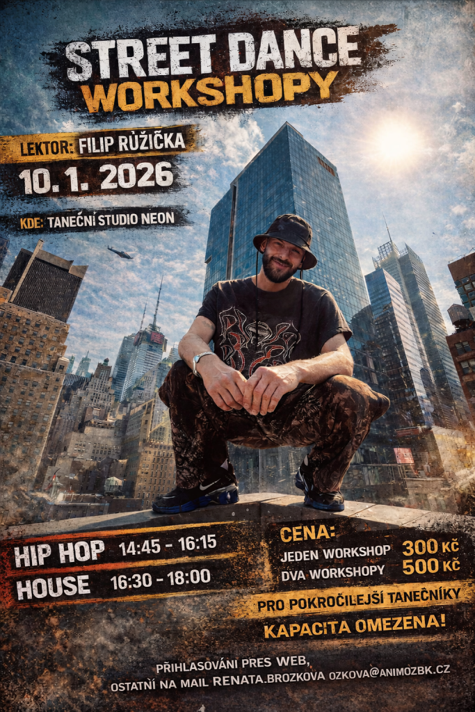 Workshop s Fífou Růžičkou