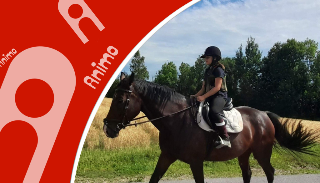 LT Jezdecké soustředění