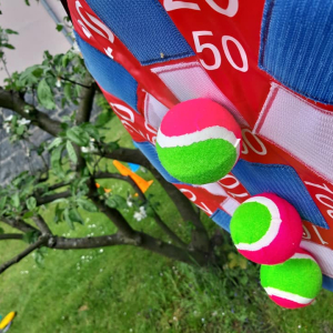 193728801_227006502564899_1533389142136826438_n.jpeg