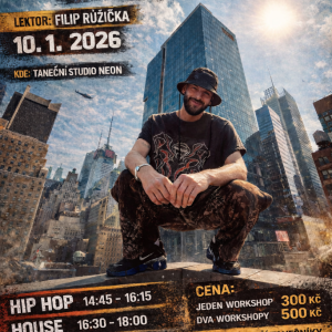 Workshop s Fífou Růžičkou