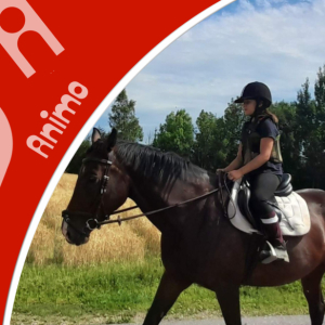 LT Jezdecké soustředění