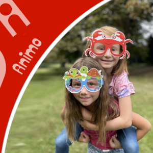 PT (Hol)čičí tábor