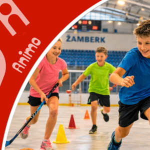 PT Správy sportovišť